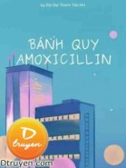 Bánh Quy Amoxicillin