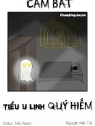 Cấm Bắt Tiểu U Linh Quý Hiếm