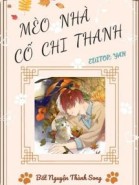 Mèo Nhà Cố Chi Thanh