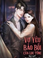 Vợ Yêu Bảo Bối Của Lục Tổng