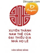 Xuyên Thành Nam Thê Của Đại Thiếu Gia Nhà Họ Lê